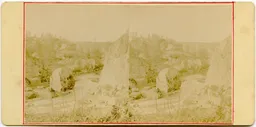 CG260.jpg