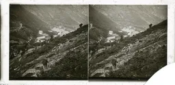 LM053.jpg