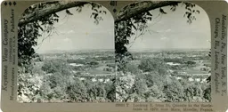 LM100.jpg