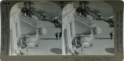 LM142.jpg