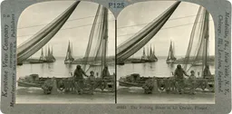 LM154.jpg