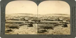 LM161.jpg