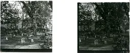 LM012.jpg