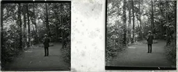LM013.jpg