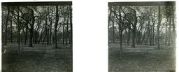 LM014.jpg