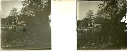 LM015.jpg