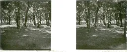LM019.jpg