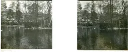 LM020.jpg
