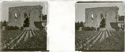 LM024.jpg