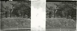 LM027.jpg