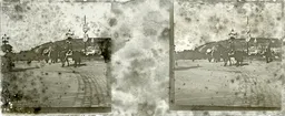 LM043.jpg