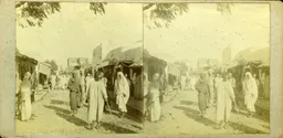 SAB074.jpg