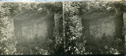 SAB095.jpg