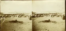 SAB097.jpg
