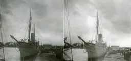 SAB169.jpg