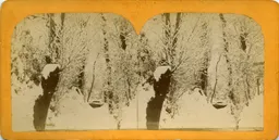 CC045.jpg