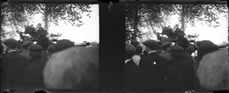 HAL062.jpg