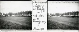 HAL087.jpg