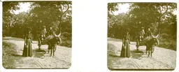 CHA027.jpg