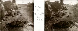 DEZ166.jpg
