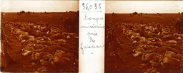 DEZ056.jpg