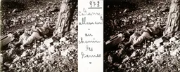 DEZ044.jpg