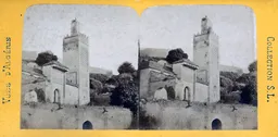 KNZ013.jpg