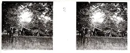 JMH038.jpg