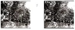 JMH043.jpg