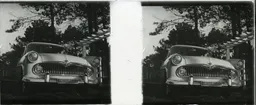 DD007.jpg