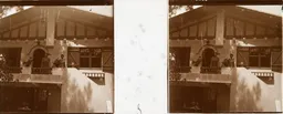 DD015.jpg