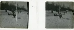 DD018.jpg