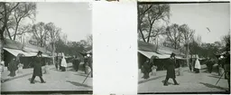 DD019.jpg