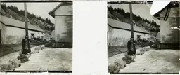 DD061.jpg