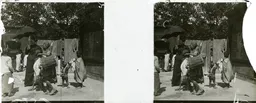 DD069.jpg