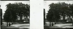 DD086.jpg