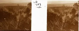 RL054.jpg