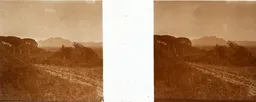 RL146.jpg