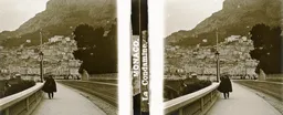 CM007.jpg