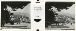 CM065.jpg