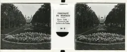 CM067.jpg
