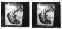 VitroPlaque9001.jpg