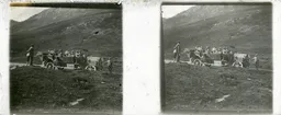 BL137.jpg
