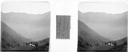 BL261.jpg