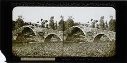 Mag2396.jpg