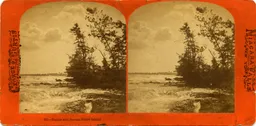Mag3105.jpg