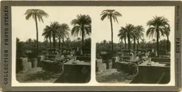 Mag3032.jpg