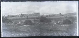 GV019.jpg