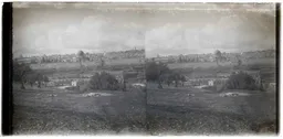 GV031.jpg
