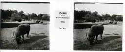 MAI0031.jpg
